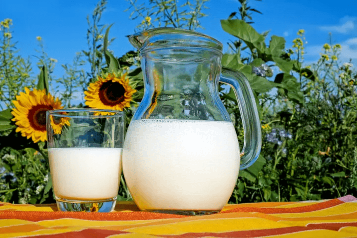 milk is a basic element of the Dukan diet